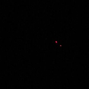 Meet your Posher, Dominic